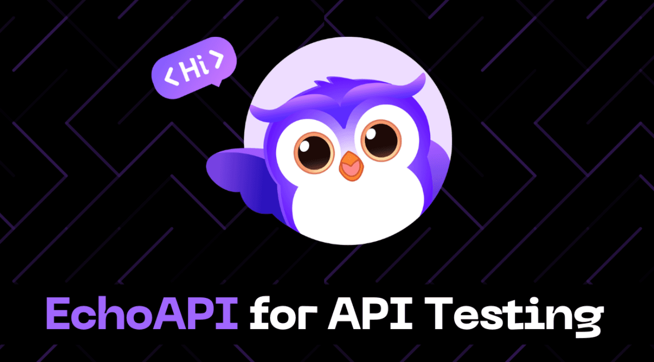 Connecting API With EchoAPI At Vscode,